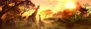 гадание на кофейной гуще животные